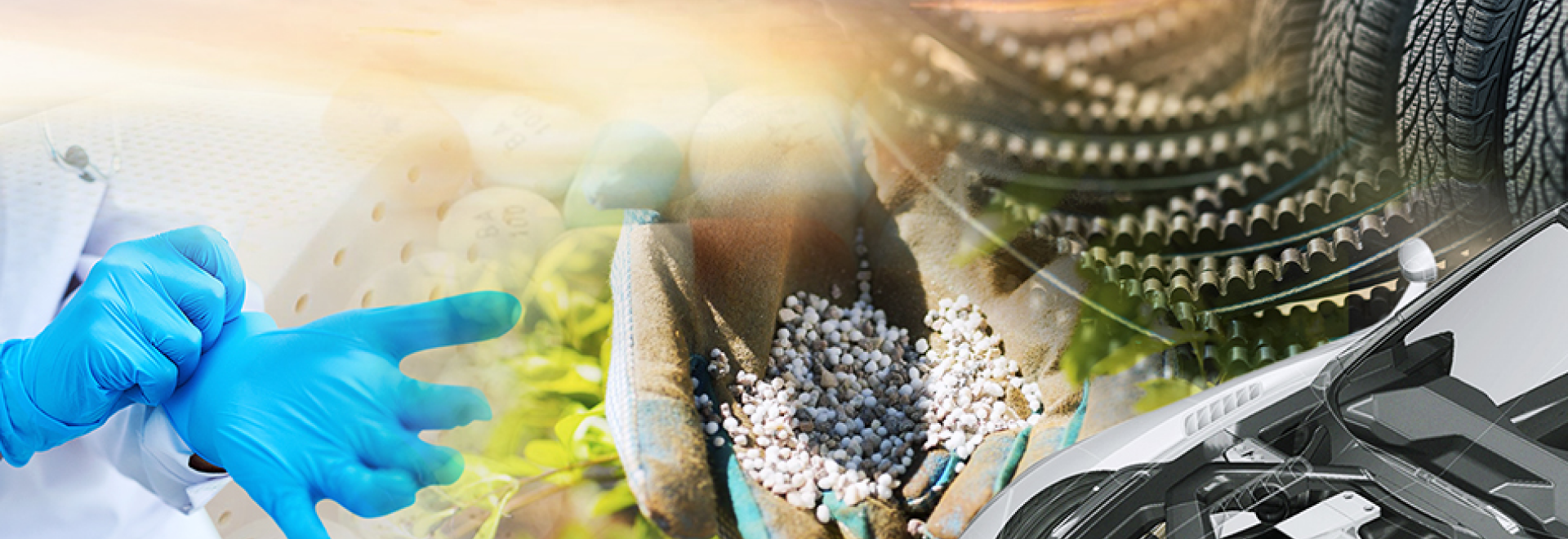 Kedah Rubber City NCER Malaysia